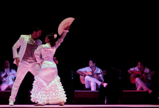 Театр фламенко «Андалусия». «Цветок Гранады»