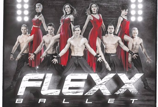 Шоу балет FLEXX Elements