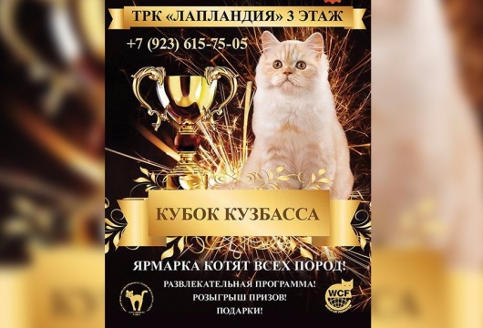 Международная выставка кошек «КУБОК КУЗБАССА»