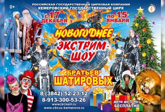 «Новогоднее экстрим шоу братьев Шатировых»