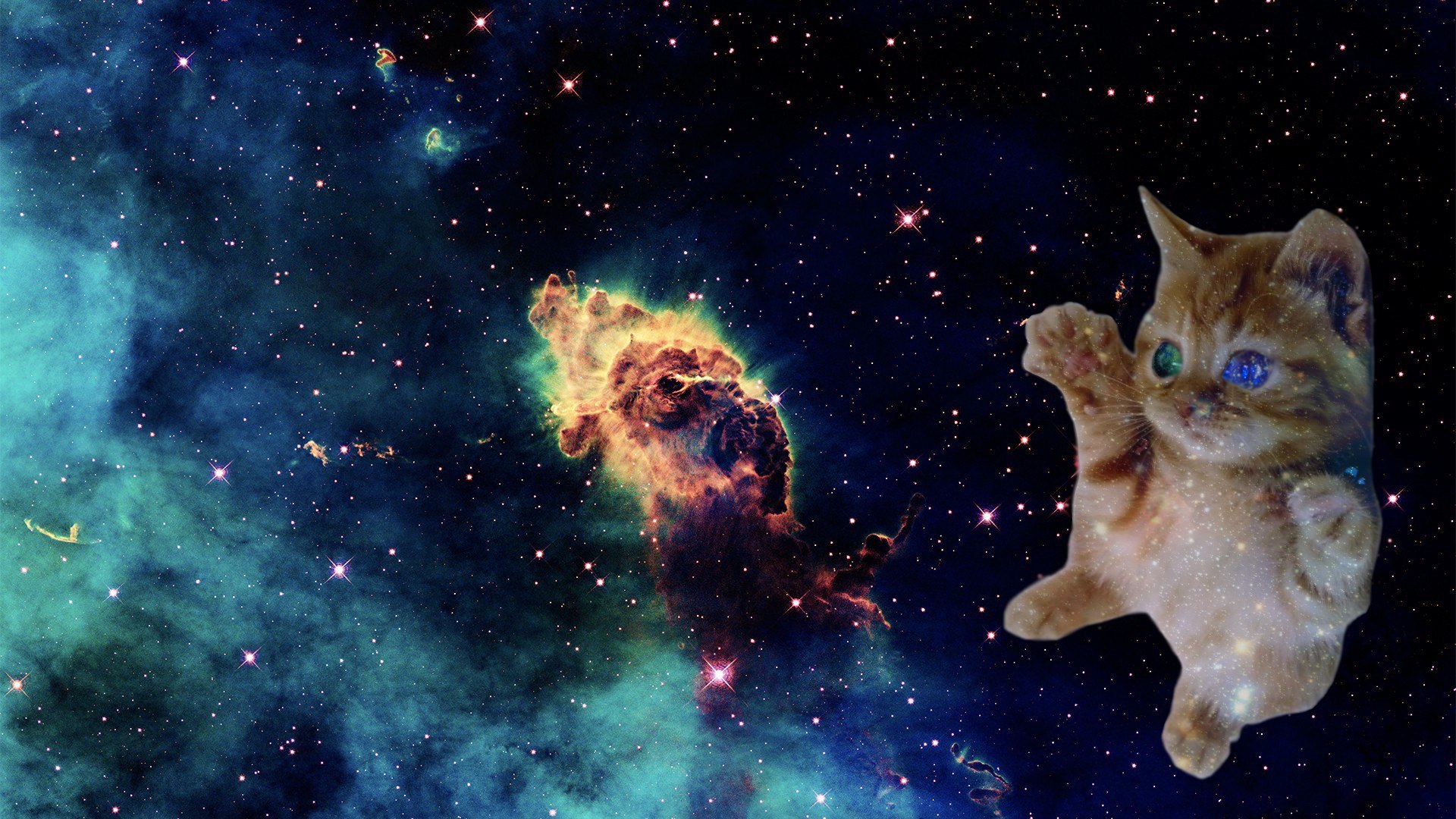 Обои котики мемы. Кот в космосе. Котенок в космосе. Котейка в космосе. Милый космос.