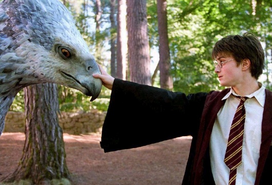 Фантастические звери и где их найти в фильмах о Гарри Поттере