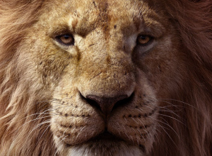 «Король Лев»