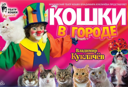 Московский театр кошек Куклачёва. Спектакль «Кошки в городе»