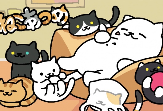 В Японии снимут фильм про собирательство кошек