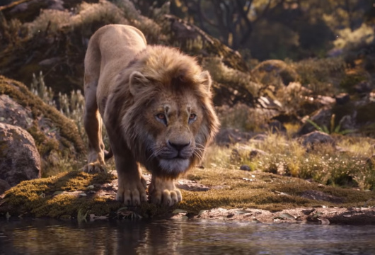 Тимон, Пумба и повзрослевший Симба в новом трейлере «Короля Льва» (видео)