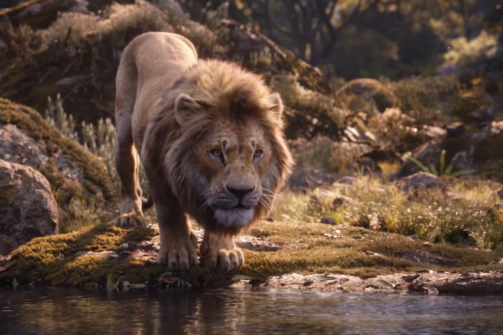honest trailer lion king subtitulado torrent