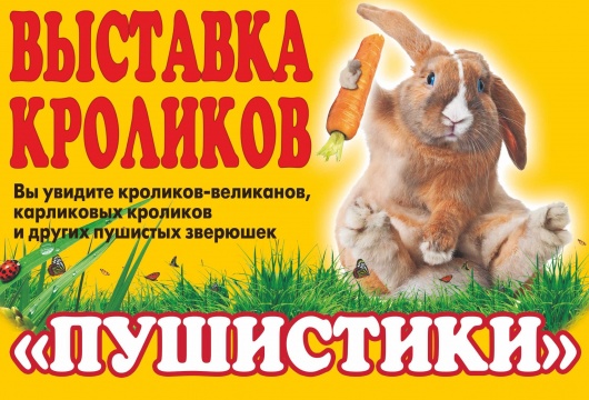 Выставка кроликов «Пушистики»