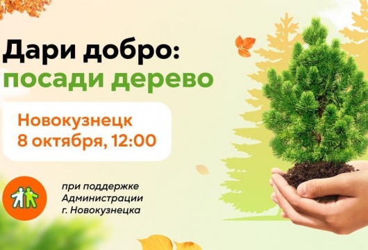 В Новокузнецке посадят 20 тысяч саженцев кедра