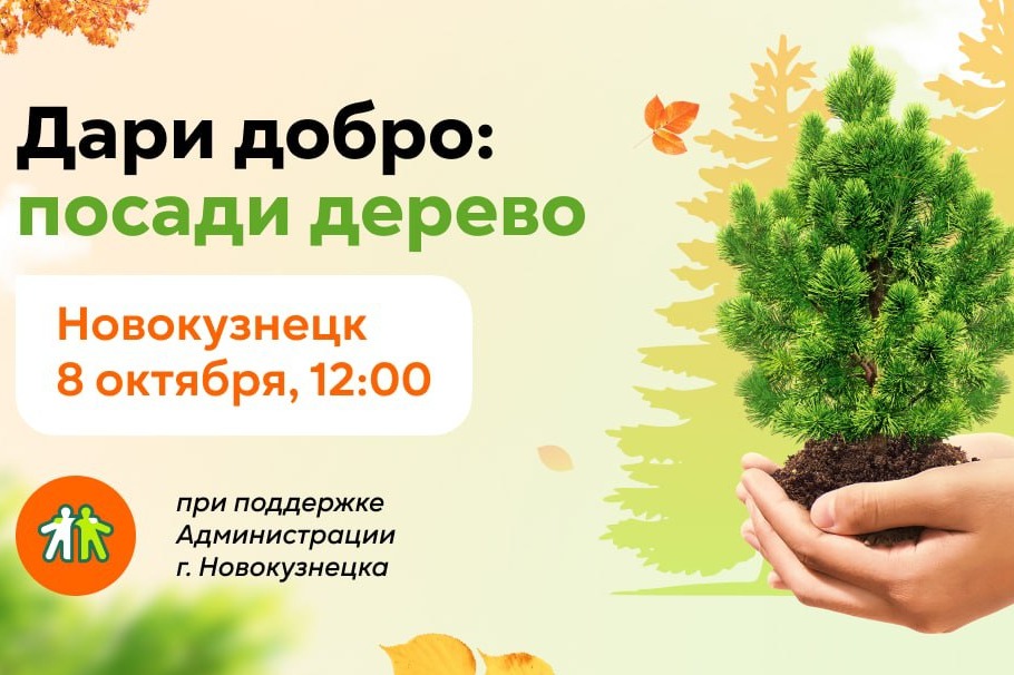 В Новокузнецке посадят 20 тысяч саженцев кедра